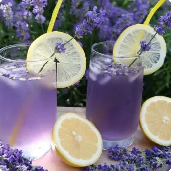 Лаванда и кокос